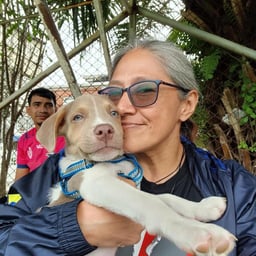 Newcomer! Definitely the cutest nursery teacher in town! target