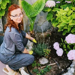 The ban is lifted!! Zhongzhitong’s November selection is coming!!.